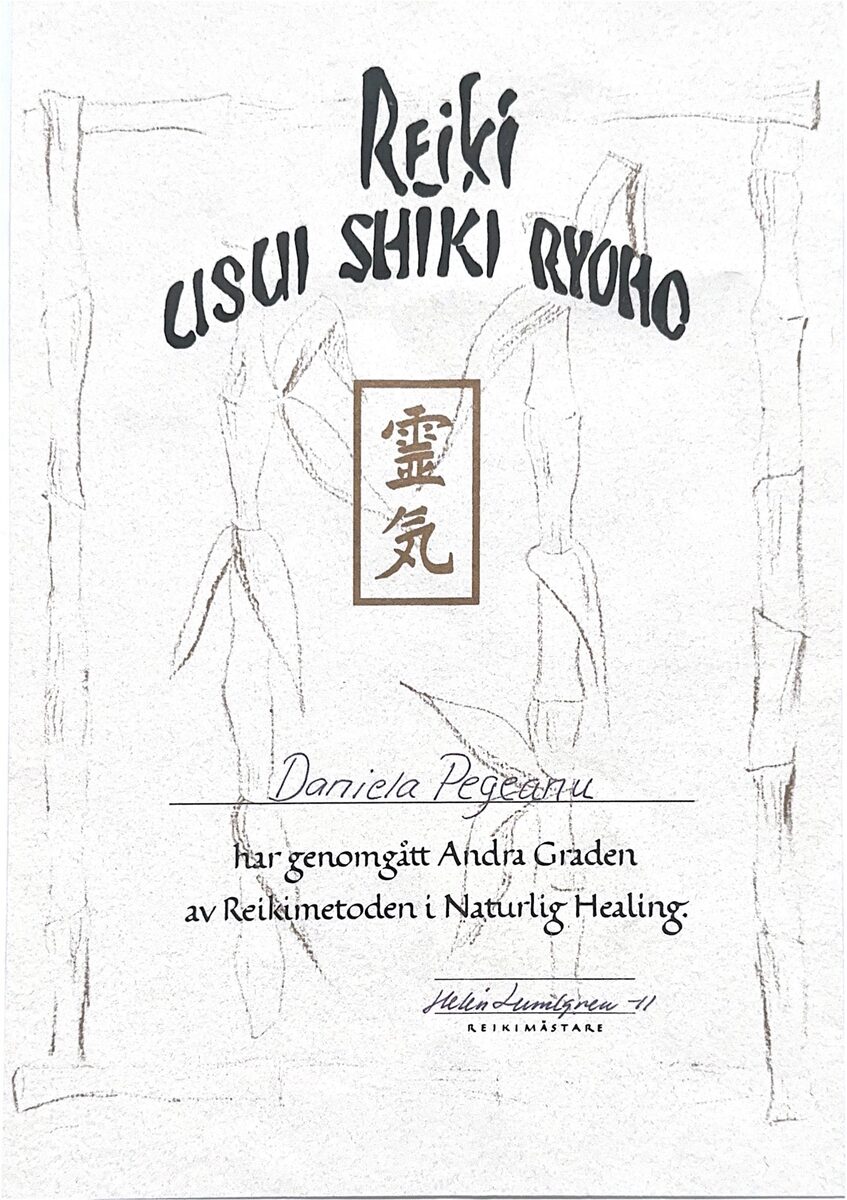 Diplom, Reiki Usui Shiki Ryoho, Andra graden